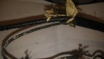 20180228_210210.jpg