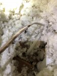 thumbnail_IMG_6581.jpg