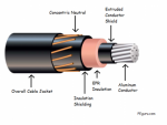 Concentric-Neutral-Cable.png