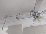 PXL_20201029_192359303.jpg
