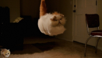 1616815034808.png