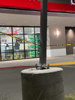 Screen Shot 2022-02-27 at 9.24.09 AM.png