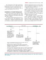 Electrical Wiring - Undergrounding.jpg