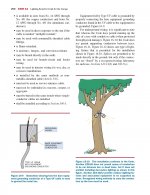 Electrical Wiring - Llghting On Trees.jpg