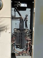 Panel (7).jpg