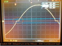 25W_incandescent_350usec delayed_er.jpg