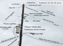IMG_4047.jpeg