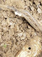 damage wire.jpg damage wire.jpg