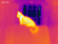 FLIR_20231115_071008_118.jpg