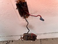 IMG_4986.jpeg IMG_4986.jpeg