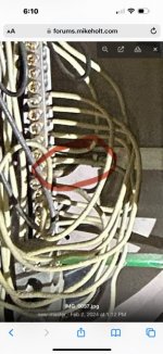 IMG_1618.jpeg