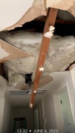 Hallway Ceiling.JPG