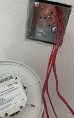 IMG_7011.jpeg