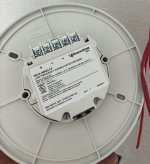 IMG_7011.jpeg
