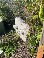 IMG_5423.jpeg