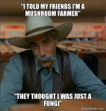 1745949416414.png