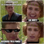 1745949455386.png