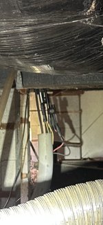 IMG_7243.jpeg IMG_7243.jpeg