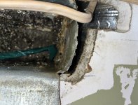 IMG_3292.jpeg