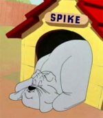 Spike-upstanding-Sitter.jpg