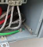 IMG_4479.jpeg IMG_4479.jpeg