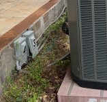 IMG_8809.jpeg