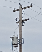 Screenshot 2025-09-29 141205.png