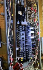 IMG_2744.jpeg IMG_2744.jpeg