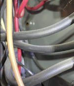 IMG_2748.jpeg IMG_2748.jpeg