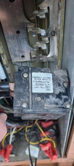 20251214_133242 r.jpg