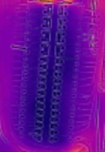 1769281465451.png 1769281465451.png