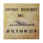 here_there_be_dragons_tile-r481caf474c404591bcb25d3261d97ae5_agtk1_8byvr_324.jpg