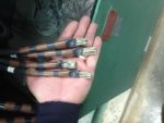 Pump Terminations large.jpg