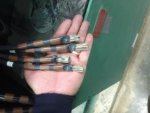 Pump Terminations.jpg