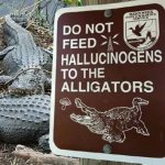 Do Not Feed The Alligators.jpg